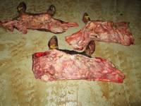 Wet Salted Cow Head Skin