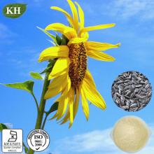 100% Natural Sunflower Seed Phosphatidylcholine