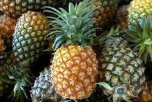 pure natural fresh pineapple