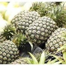 High Quality Fresh Pineapple