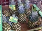 Calle  Real  Pineapples