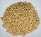  Hulled   Oats 