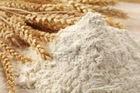 Durum Wheat Flour