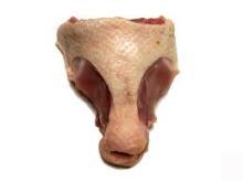 HALAL FROZEN  CHICKEN   BACK 