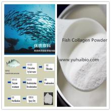 fish collagen,fish collagen powder,hydrolyzed fish collagen