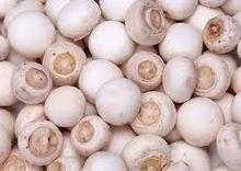  Frozen   Champignon  Mushroom
