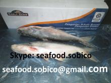 FROZEN PANGASIUS HGT Head off, gutted , tail off. Skype: seafood.sobico
