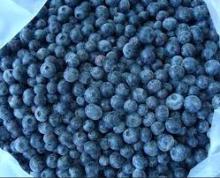  IQF  blueberry
