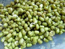 Mung Beans