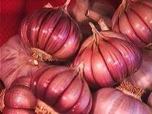 wholesale  fresh   red   garlic 