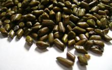 Cassia Tora Seeds special sales