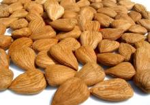 Almond nuts /almond Kernel/ Almond whole Bitter and sweet Almond