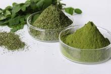 Organic moringa seed / extract powder / moringa leaves