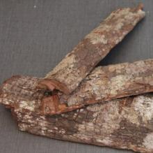 Natural Cabinda bark / Cabinda Bark Powder
