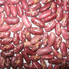 2016 Top Quality Red Speckled Kidney Beans