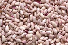 long type light speckled kidney bean