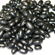 2016 crop Dry Black Kidney Beans or Black Beans