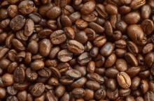 Grade A Arabica roasted coffee beans cheap price