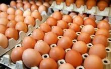 Fresh Chicken Eggs (Brown/White)