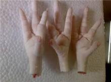 Chicken Paw/Feet