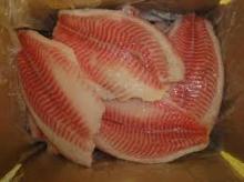 Frozen Tilapia Fillet