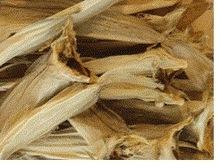 Best quality StockFish and Frozen Fish From Norway