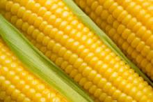 CORN