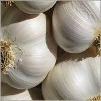 White & Red Garlic on sale