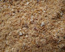  Shrimp   shell   meal /powder