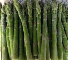2016 new crop IQF asparagus, Chinese asparagus