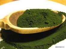 100% Natural Organic Chlorella Powder