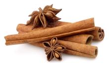 CINNAMON BARK EXTRACT (POLYPHENOLS 20%, 50%)
