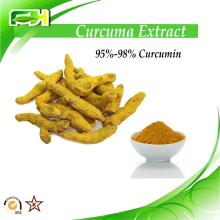 Curcuma longa Extract 95%-98% Curcumin