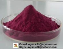 Natural Elderberry Extract Anthocyanidin