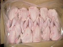  frozen   chicken   breast   fillet  halal food
