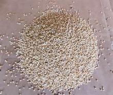 White Millet