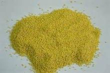  hulled   Millet 