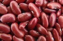  Dried   Dark   Red   kidney  bean