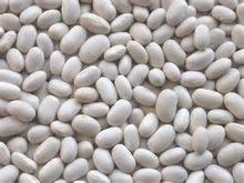 small size White Kidney beans