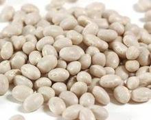 Sparkled White Kidney beans