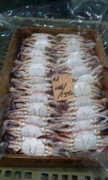 Frozen 3  Spot  Crabs