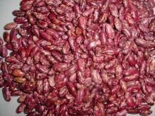 Red Speckled Kidney Beans