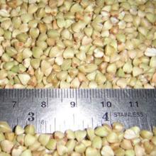 Buckwheat for sale