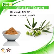 Olive leaf Extract  Oleuropein   20 %-70%. Hydroxytyrosol 3%-40%