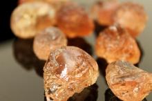  Gum   Arabic 