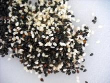 Sesame Seeds