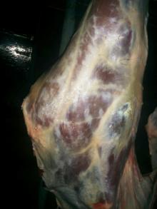 Chilled Halal Meat