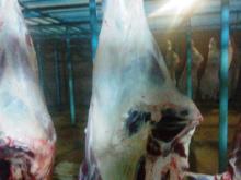 Freshly Chilled Beef Carcass