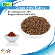  Grape  Seed Extract  Polyphenols  40%- 80%. Proanthocyanidins 95%