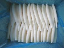 frozen squid products